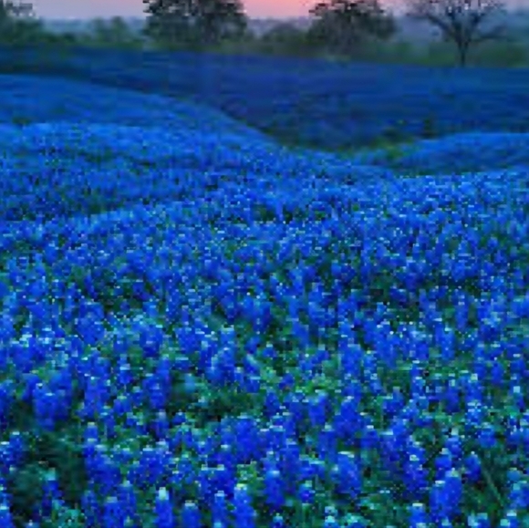 Meet your Posher, Jessica - Picture 7 of 14